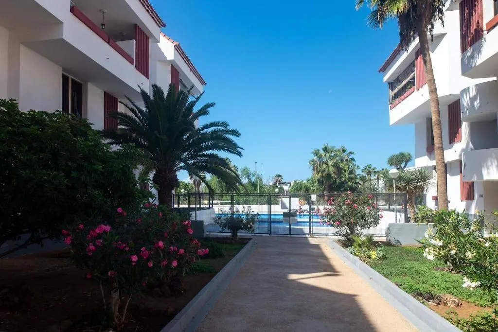 El Delfin Apartamento Playa de las Americas  Espanha